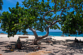 Beach on Cayes-à-L’eau, a fishermen islet located northeast of Caye Grand Gosie, Île-à-Vache, Sud Province, Haiti