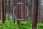 Oma Forest is a work of art by Agustin Ibarrola, a Basque sculptor and painter, in the natural reserve of Urdaibai, Oma, Vizcaya, Basque country Euskadi, Spain