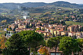 Agricultural land with grape vinyards & olive orchards behind the modern section of San Gimignano, Italy.