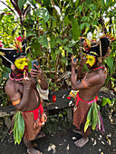 The Huli Wigmen of Papua New Guinea applying make up, Highlands Region