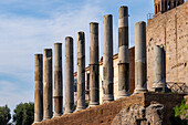 Roman columns along the Via Sacra in the Colosseum Archaeological Park in Rome, Italy.