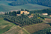 Agricultural land with grape vinyards & olive orchards around San Gimignano, Italy.