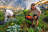 Regenerative agriculture fields in San Pol de Mar, Ferrer Sustainability Foundation, Barcelona, Spain, Europe. The Ferrer Sustainability Foundation is a non-profit organisation that aims to transform lives and work towards a more equitable and fair society through social cohesion and environmental preservation. We carry out our work through two major projects: Ferrer for Food and Green for Good, through which we seek to generate the greatest impact for the benefit of people and the planet.