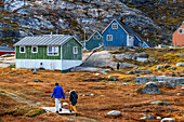 Coloful houses in the small isolated inuit village of Aappilattoq, South Greenland, Arctic sea.