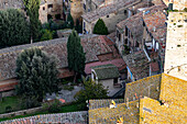 Traditional clay tile rooftops of the medieval buildings in the walled city of San Gimignano, Italy.