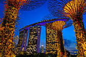 Light and music show in Gardens by the Bay park Supertrees elevated walkway skyway between colourful lit Super Trees, Gardens by the Bay, Singapore