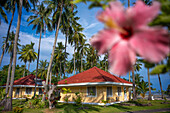 Whispering Palms island resort in Sipaway Island, San Carlos City, Negros Occidental, Philippines