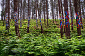 Oma Forest is a work of art by Agustin Ibarrola, a Basque sculptor and painter, in the natural reserve of Urdaibai, Oma, Vizcaya, Basque country Euskadi, Spain