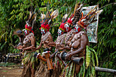 The Moroma Tribe of Papua New Guinea, Highlands Region