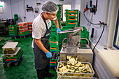 Kitchens for preparing pre-cooked food to distribute among the poorest, Vilassar de Dalt, Ferrer Sustainability Foundation, Barcelona, Spain, Europe. The Ferrer Sustainability Foundation is a non-profit organisation that aims to transform lives and work towards a more equitable and fair society through social cohesion and environmental preservation. We carry out our work through two major projects: Ferrer for Food and Green for Good, through which we seek to generate the greatest impact for the benefit of people and the planet.