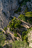 Touristen auf der Via Krupp, die die Klippen von Capri hinunter nach Marina Piccola auf Capri, Italien, führt.