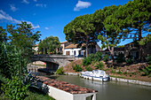 Canal du Midi at Poilhes Aude South of France southern waterway waterways holidaymakers queue for a boat trip on the river, France, Europe