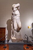 Young Slave, an unfinished statue by Michelangelo in the Accademia Gallery in Florence, Italy.