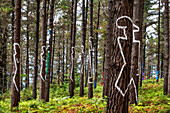 Oma Forest is a work of art by Agustin Ibarrola, a Basque sculptor and painter, in the natural reserve of Urdaibai, Oma, Vizcaya, Basque country Euskadi, Spain