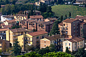 Modern apartment buildings with a grape vineyard behind, viewed from the Torre Grossa in San Gimignano, Italy,