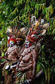 The Moroma Tribe of Papua New Guinea, Highlands Region