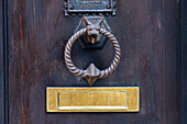 A metal door knocker in the shape of a dog head on a door in the medieval walled town of San Gimignano, Italy.