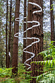 Oma Forest is a work of art by Agustin Ibarrola, a Basque sculptor and painter, in the natural reserve of Urdaibai, Oma, Vizcaya, Basque country Euskadi, Spain