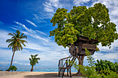 Tree house for rent to relax on the beach in the island beach in the Philippines Kalanggaman island, Malapascua, Cebu, Philippines