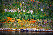 Norris Point mountains in autumn, Bonne Bay and Woody Point seen from the view point at the Jenniex House in Gros Morne National Park, Newfoundland & Labrador, Canada