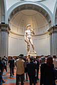 The original David statue by Michelangelo in the Accademia Gallery in Florence, Italy.