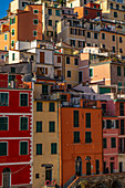 Colorful buildings stacked up the hillside in Riomaggiore, Cinque Terre, Italy.