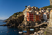 Colorful buildings overlooking the harbor in Riomaggiore, Cinque Terre, Italy.