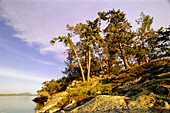 Natürliche Schönheit auf Prevost Island im Gulf Islands National Park Reserve, BC, Kanada; British Columbia, Kanada