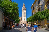 Seville Cathedral (Cathedral of Santa Maria de la Sede of Seville), former ancient Almohad mosque, UNESCO, Seville, Andalusia, Spain