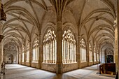 Cloister of the Cathedral of Segovia, Segovia Cathedral, UNESCO, Segovia, Castile and Leon, Spain