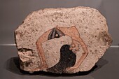 Ostrakon of dancer in acrobatic position, limestone, 19-20th Dynasty from Deir el-Medina, Museo Egizio (Egyptian Museum), Turin, Piedmont, Italy