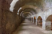 Forum, Cryptoporticoes, Arles, UNESCO, Bouches du Rhone, Provence-Alpes-Cote d'Azur, France