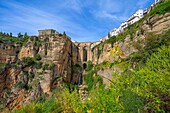 Puente Nuevo, Ronda, Malaga, Andalusia, Spain