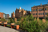 Wilde Bepflanzung, Initiative Grey to Green, mit Royal Exchange Buildings und Castle House dahinter, Castle Gate Quarter, Sheffield, Yorkshire, England