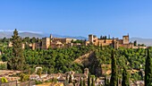 View from Mirador de San Nicolas to The Alhambra, UNESCO, Mudejar architecture, Granada, Andalusia, Spain