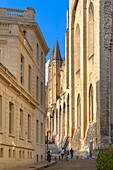 Palace of the Popes, UNESCO, Avignon, Provence-Alpes-Cote d'Azur, Rhone Valley, France