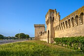 Walls, Avignon, Provence-Alpes-Cote d'Azur, Rhone Valley, France