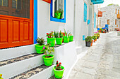 Potted plants at traditional house entrance, Mandraki, Nisyros Island, Dodecanese Islands, Greek Islands, Greece, Europe