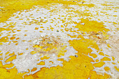 Splashes of sulphur colouring Stefanos crater ground, Nisyros Island, Dodecanese Islands, Greek Islands, Greece, Europe