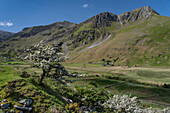 The Nant Ffrancon valley in spring backed by Foel Goch and the Glyderau mountains, Snowdonia National Park (Eryri), North Wales, United Kingdom, Europe