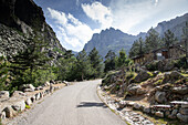 Mountain scenery, Island of Corsica, France