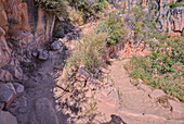 Die 11. Serpentine auf dem North Kaibab Trail am Grand Canyon North Rim, UNESCO, Arizona, Vereinigte Staaten von Amerika