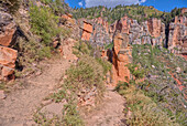 Die 17. Serpentine auf dem North Kaibab Trail am Grand Canyon North Rim, UNESCO, Arizona, Vereinigte Staaten von Amerika