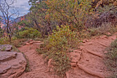 Die 23. Serpentine auf dem North Kaibab Trail am Grand Canyon North Rim, UNESCO, Arizona, Vereinigte Staaten von Amerika