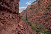 Die steile Klippe der Roten Wand entlang des North Kaibab Trail, Grand Canyon North Rim, UNESCO, Arizona, Vereinigte Staaten von Amerika