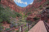 Blick auf die Klippen des Roaring Springs Canyon von der Red Wall Bridge aus, Grand Canyon North Rim, UNESCO, Arizona, Vereinigte Staaten von Amerika