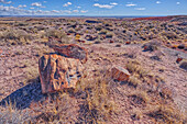 Pieces of petrified wood on hills overlooking Dead Wash, Petrified Forest National Park, Arizona, United States of America