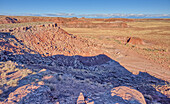 Dead Wash Valley in Petrified Forest National Park, Arizona, United States of America