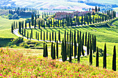 Blick auf das Podere Baccoleno, Crete Senesi, Toskana, Italien