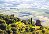 Belvedere di Montalcino, UNESCO, Provinz Siena, Toskana, Italien